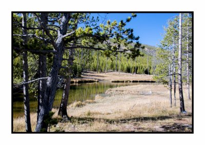 109 14 10 19 Yellowstone NP