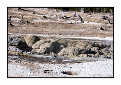 266 14 10 19 Yellowstone NP