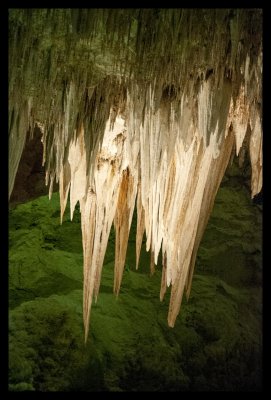 207 15 3 4 Carlsbad Caverns
