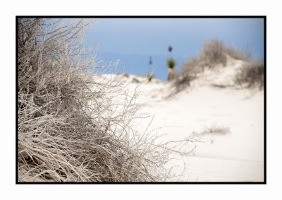 002 15 3 2 White Sands NP