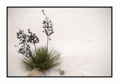 013 15 3 2 White Sands NP