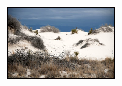 069 15 3 2 White Sands NP