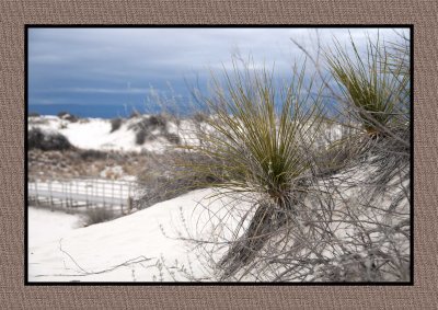 081 15 3 2 White Sands NP