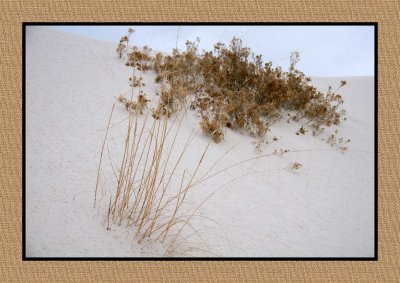 107 15 3 2 White Sands NP