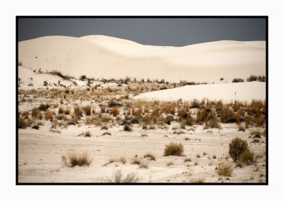 136 15 3 2 White Sands NP