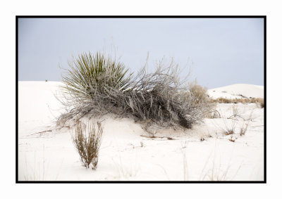 174 15 3 2 White Sands NP