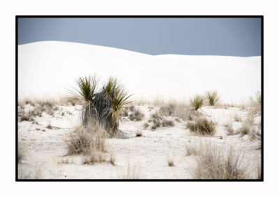 195 15 3 2 White Sands NP
