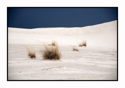 263 15 3 2 White Sands NP