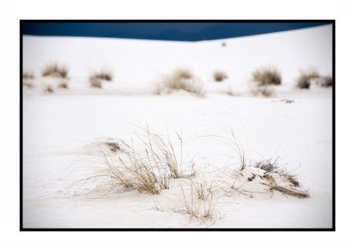 281 15 3 2 White Sands NP
