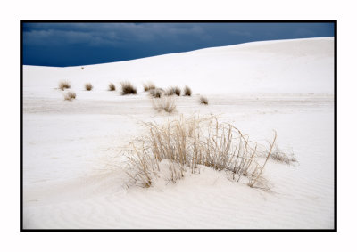 286 15 3 2 White Sands NP