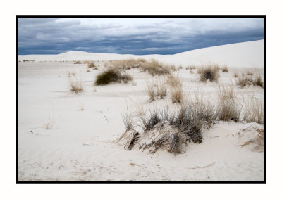 289 15 3 2 White Sands NP