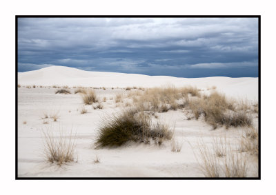 290 15 3 2 White Sands NP