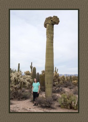 15 12 9 088 Jean with Crested Saguaro near Florence, AZ