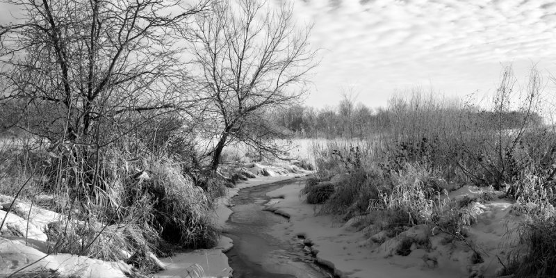 Babbling Brook 