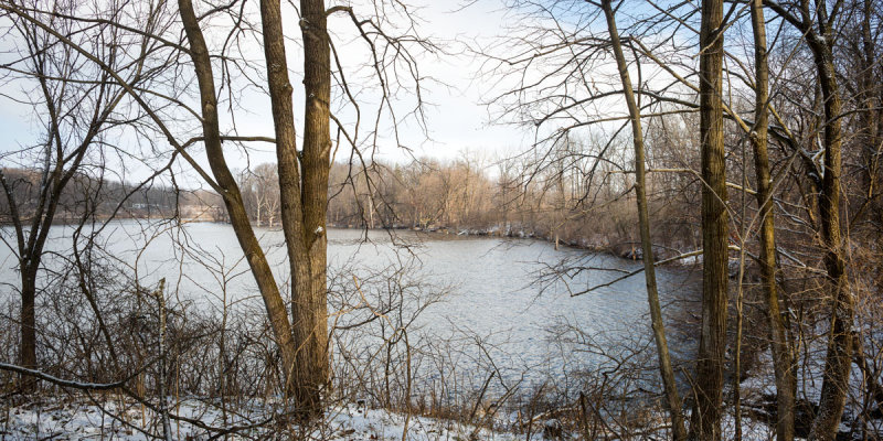 Bay Shoreline 