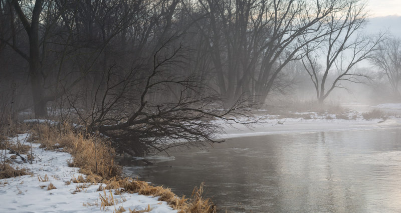 Winter Fog 