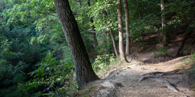 Hennepin Canyon Bluff Trail