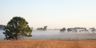 Ground Fog at the Grasslands 