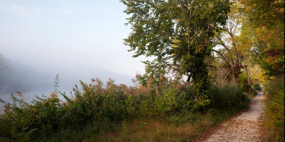 Fog Along the Trail 