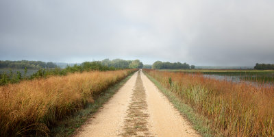 Road at Spring Lake 