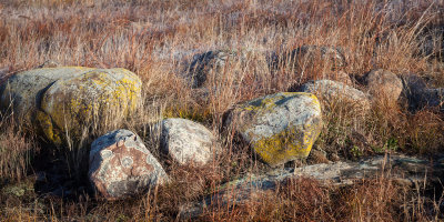 Boulders in the Grass 