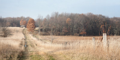 Fence at Orland Prairie 