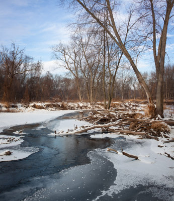 Open Water 