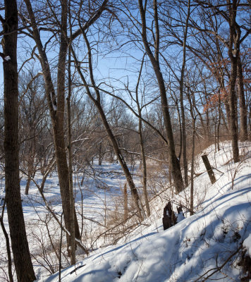 Kishwaukee River Bluff 