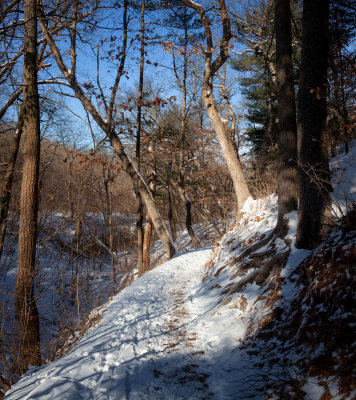 Winter Canyon Trail