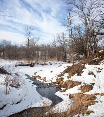 Spring Thaw at Orland Prairie