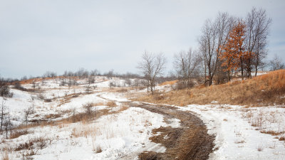 Trail Through Rolling Terrain 