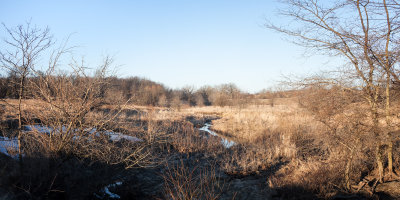 Babbling Brook at Sunrise