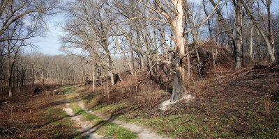 Tellabs Trail