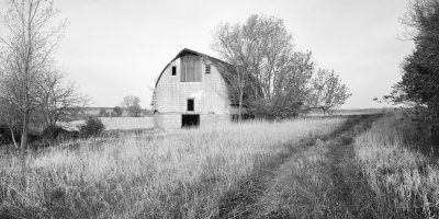 Abandoned Dairy Barn II 