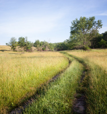 Prairie Path