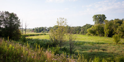 Lowlands by the Creek 