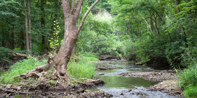 Tomahawk Creek, August 2014 