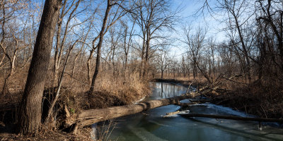 Valley Meander, December