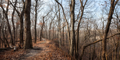 Vermilion River Bluff Trail 