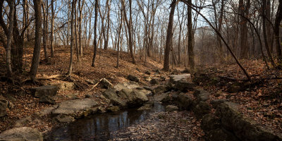 Creek in the Woods 