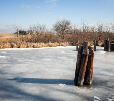 Pilings in Ice 