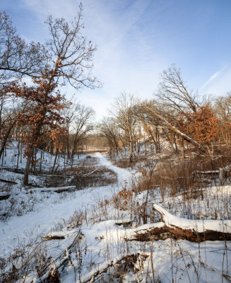 Tellabs Trail, January