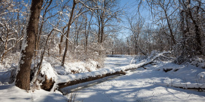 Valley Meander, February