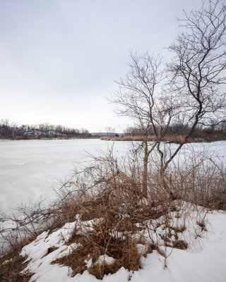 Snow and Ice at the I&M Canal