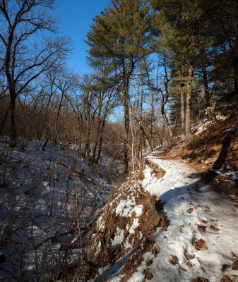 Winter Trail
