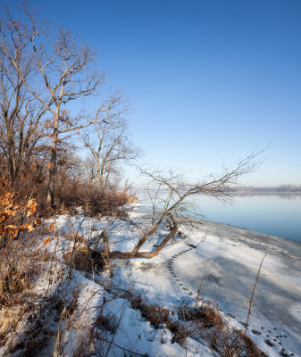 Stubborn Ice