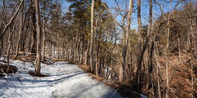 Icy Path