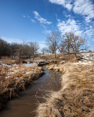Early Spring at Orland Prairie 