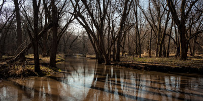 Shadows in the Mud 