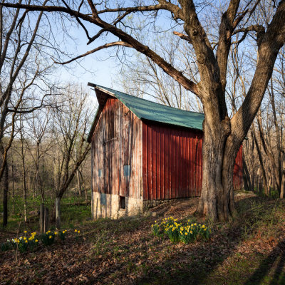 Barn in the Woods 